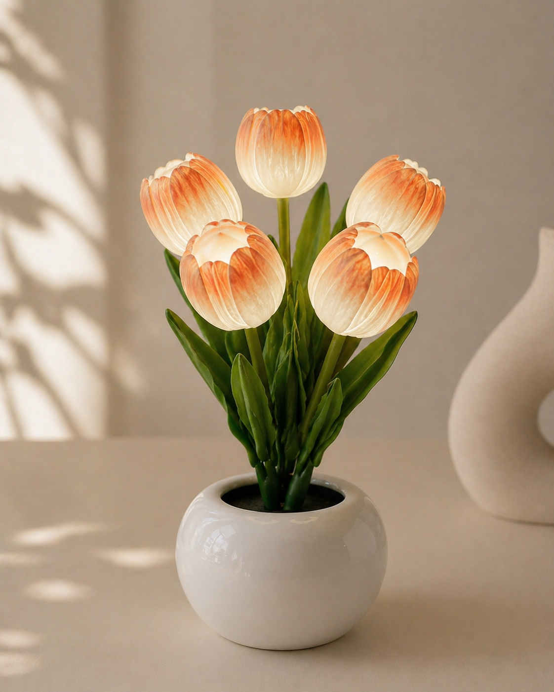 Lumière Bloom